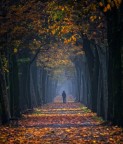 solitudine autunnale