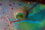 Tropici? No: Mare nostrum Tropici? No: Mare nostrum