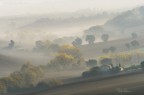 In the morning mist In the morning mist