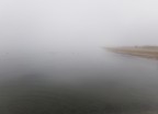 .empatia invernale. .empatia invernale.