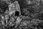 the witch project the witch project