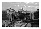 foro romano