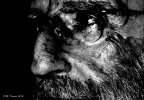 Sguardo Sguardo