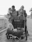 Una famiglia Una famiglia
