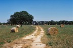 Country road Country road
