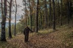 Il druido d'autunno Il druido d'autunno