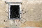 Novigrad img.4541