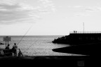 pdn41