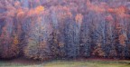 Un altro giorno - Parco Nazionale della Sila Un altro giorno - Parco Nazionale della Sila