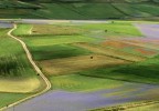 Piana di Castelluccio...coppia a passeggio Piana di Castelluccio...coppia a passeggio