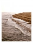 mare d'amare