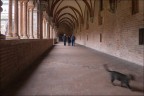 Chiostro Chiaravalle della Colomba Chiostro Chiaravalle della Colomba