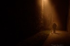 the fog the fog