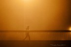 the fog1 the fog1