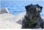 Spillo al mare (Crotone)! Spillo al mare (Crotone)!