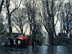 Trieste img.676