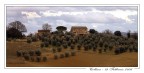 Collina Toscana Collina Toscana