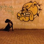 hai scelto il quartiere sbagliato