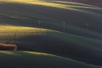 lame di luce verde e pali lame di luce verde e pali