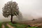 campagna2