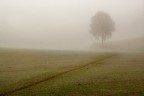 Campagna 3 Campagna 3