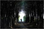 Pedalate invernali