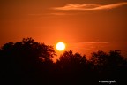 Tramonto di fuoco! Tramonto di fuoco!