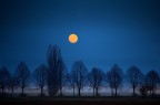 Alba di luna Alba di luna