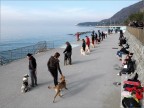 Trieste img.4627