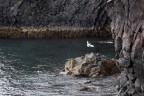 Voliamo nel silenzio Voliamo nel silenzio
