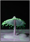 Umbrella0.1 Umbrella0.1