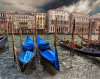 venezia venezia