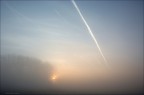 Alba 01 Alba 01