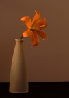 Soft tones Soft tones