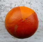 *** Istruzioni per l'uso ***