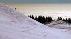 Micropodisti alpini invernali Micropodisti alpini invernali