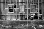 migranti migranti