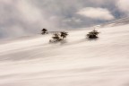 Bianco Bianco