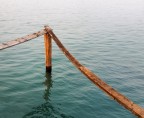 Il sostegno Il sostegno