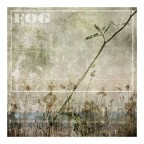 FOG