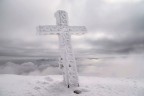 frozen frozen