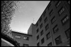 milano:università milano:università