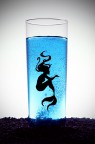Sirena Sirena