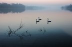 Img 012016
