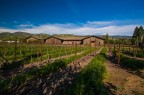 Casale di Napa