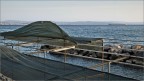 Trieste img.068