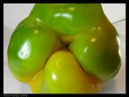 peperotica 1
