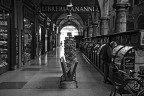 Bologna - 2016 Bologna - 2016