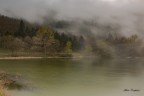 Nebbia Nebbia