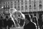 bolla bolla